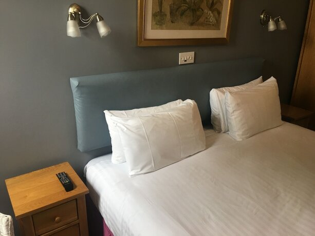 Imagen general del Hotel Winston Manor. Foto 10