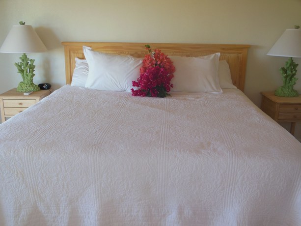 Imagen de la habitación del Hotel Winter Haven. Foto 9