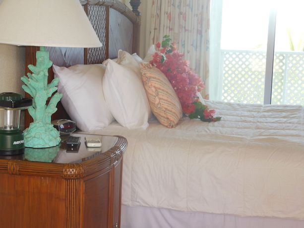 Imagen de la habitación del Hotel Winter Haven. Foto 10