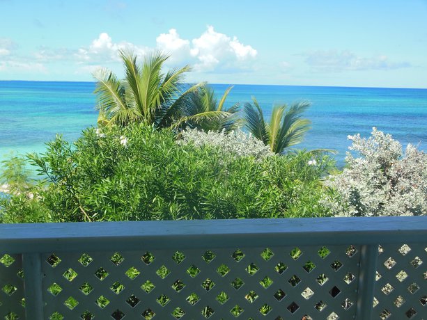 Imagen de los interiores del Hotel Winter Haven. Foto 19