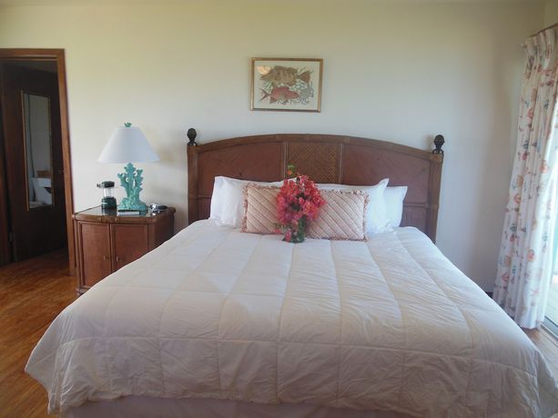 Imagen de la habitación del Hotel Winter Haven. Foto 17