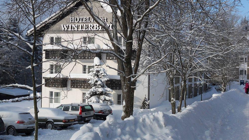 Imagen general del Hotel Winterberg Resort. Foto 4