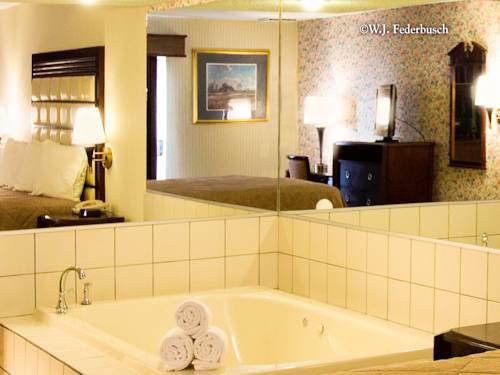 Imagen de la habitación del Hotel Wintergreen Resort & Conference Center. Foto 6