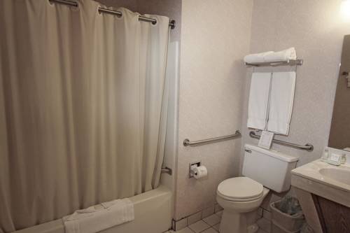 Imagen de la habitación del Hotel Wintergreen Resort & Conference Center. Foto 8