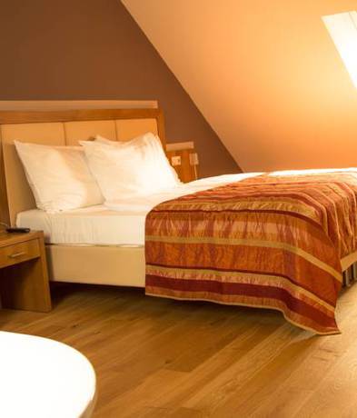 Imagen de la habitación del Hotel Winzerhotel Gumpoldskirchen. Foto 4