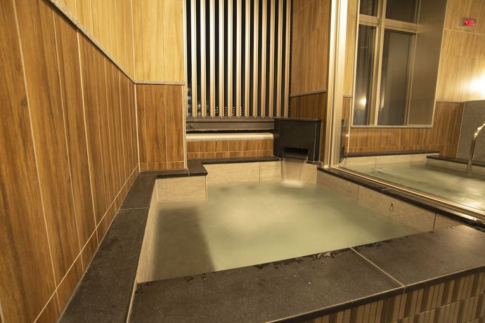 Imagen de la piscina del Hotel Wires Shinagawa Seaside. Foto 18
