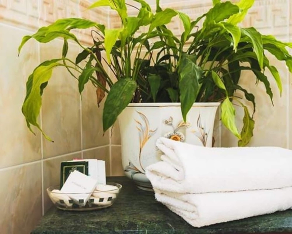 Imagen de la habitación del Hotel WiseStay. Foto 15