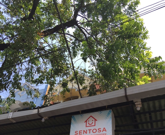 Imagen de los exteriores del Hotel Wisma Sentosa. Foto 14