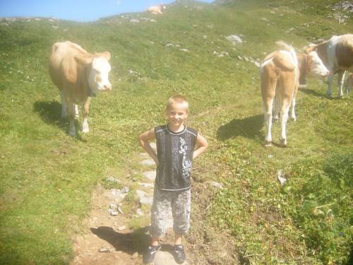 Imagen de la habitación del Hotel Wisser's Sonnenhof. Foto 8