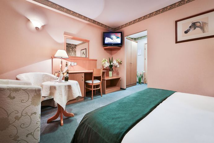 Imagen de la habitación del Hotel Witek and Conference Centre. Foto 3