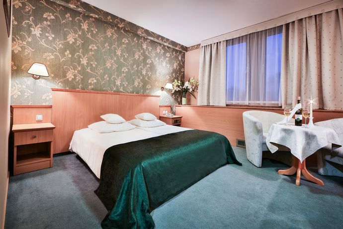 Imagen de la habitación del Hotel Witek and Conference Centre. Foto 7