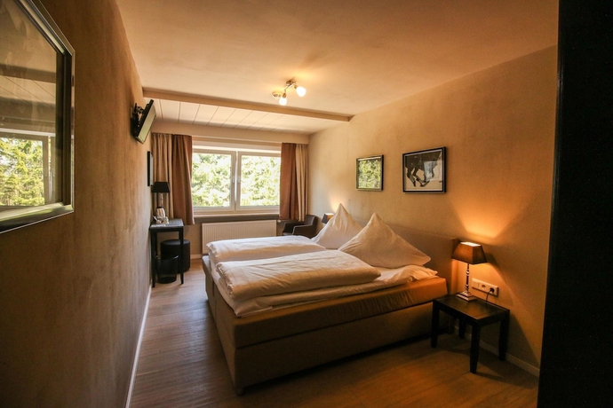 Imagen de la habitación del Hotel Wittgensteiner Landhaus - Adult Only. Foto 10