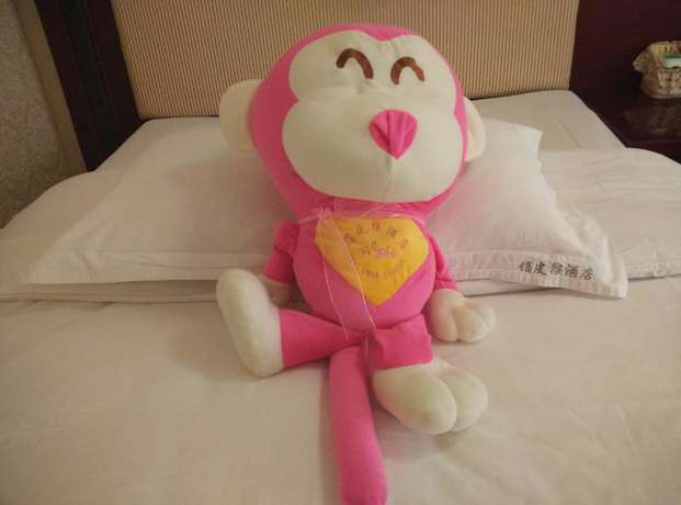 Imagen de la habitación del Hotel Witty Monkey Hotel. Foto 12