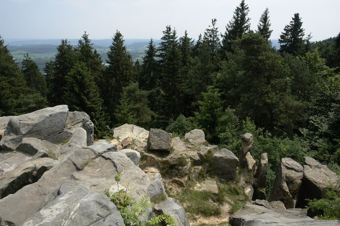 Imagen general del Hotel Wohlf&uuml;hlhotel im Schlosspark. Foto 11