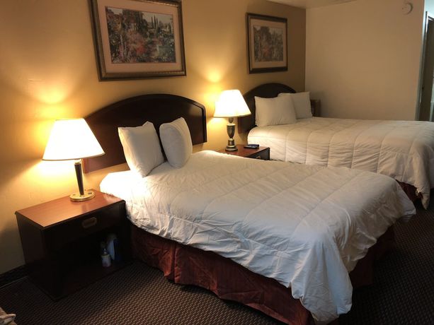 Imagen de la habitación del Hotel Wolf Inn. Foto 4