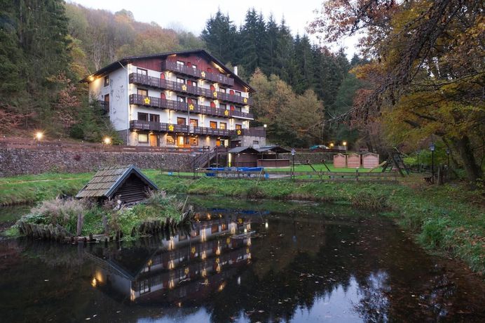 Imagen general del Hotel Wolffhotel. Foto 2