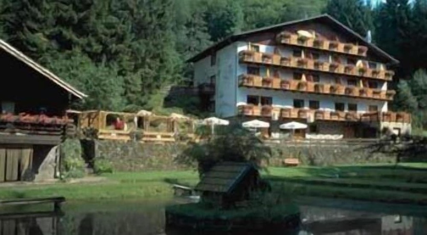 Imagen general del Hotel Wolffhotel. Foto 1