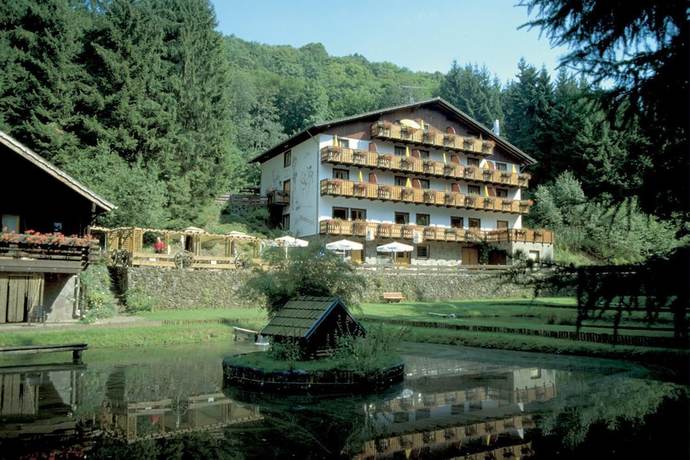 Imagen general del Hotel Wolffhotel. Foto 4