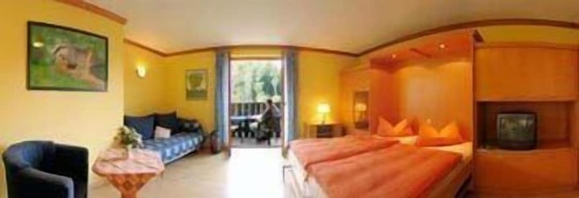 Imagen de la habitación del Hotel Wolffhotel. Foto 12