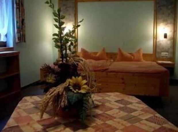 Imagen de la habitación del Hotel Wolffhotel. Foto 13
