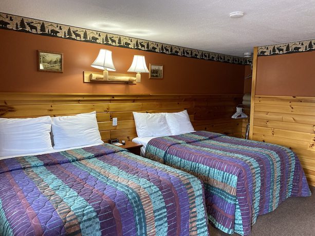 Imagen de la habitación del Hotel Wolfjaw Lodge. Foto 11