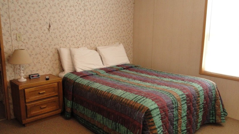 Imagen de la habitación del Hotel Wolfjaw Lodge. Foto 14