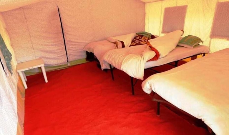 Imagen de la habitación del Hotel Wonderland Camps. Foto 8