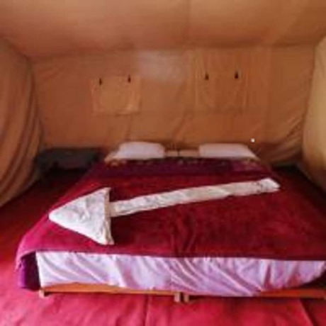 Imagen general del Hotel Wonderland Tourist Camp. Foto 13