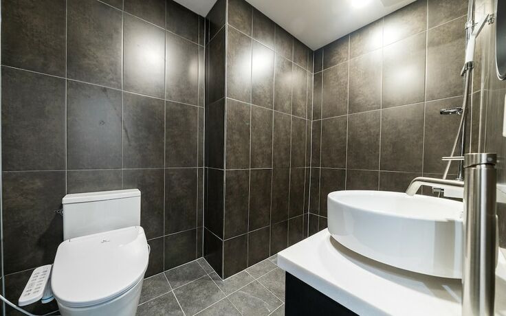 Imagen general del Hotel Wonju The. Foto 4