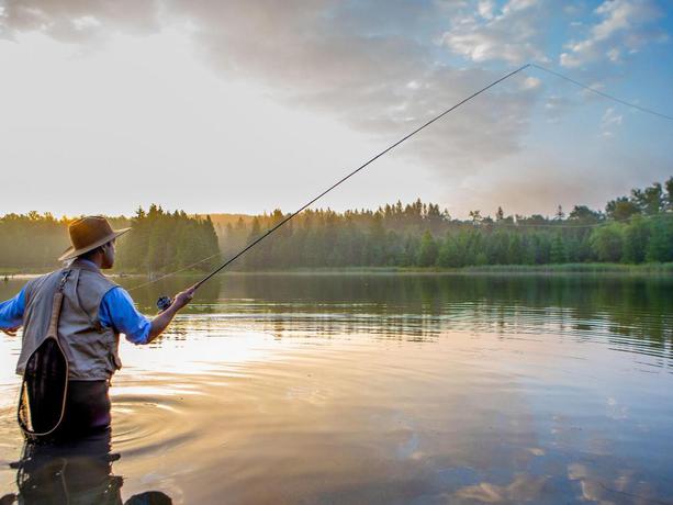 Imagen general del Hotel Woodbridge on the Derwent. Foto 8