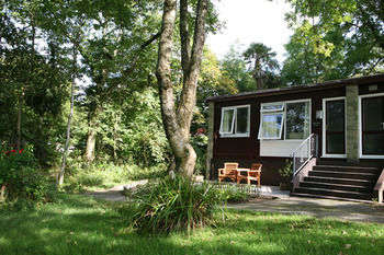 Imagen de la habitación del Hotel Woodland Lodge. Foto 8