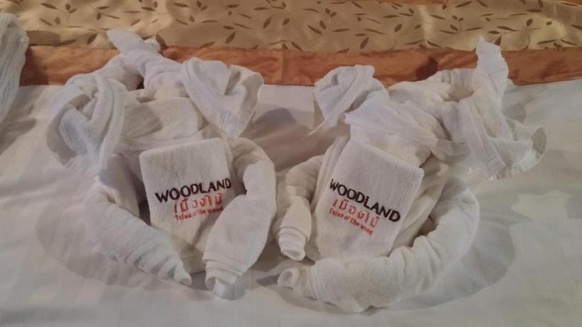 Imagen general del Hotel Woodlandmuangmai. Foto 5