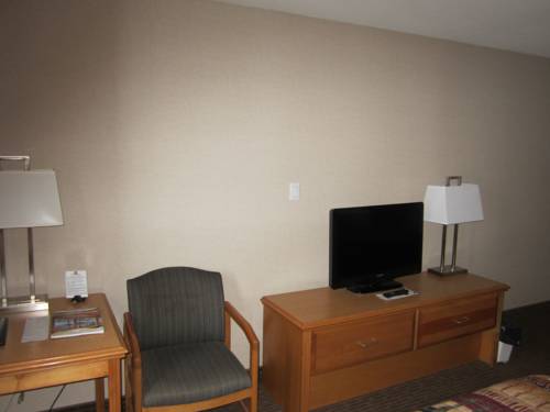 Imagen de la habitación del Hotel Woodlands Inn & Suites. Foto 4