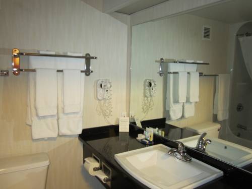 Imagen de la habitación del Hotel Woodlands Inn & Suites. Foto 6