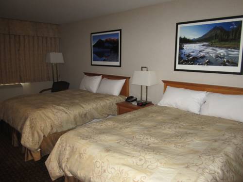 Imagen de la habitación del Hotel Woodlands Inn & Suites. Foto 7