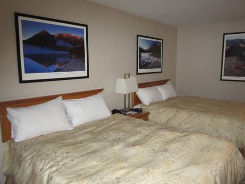 Imagen de la habitación del Hotel Woodlands Inn & Suites. Foto 8