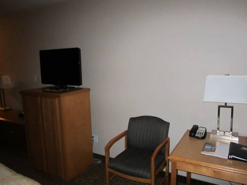 Imagen de la habitación del Hotel Woodlands Inn & Suites. Foto 9