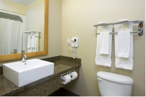 Imagen de la habitación del Hotel Woodlands Inn & Suites. Foto 15