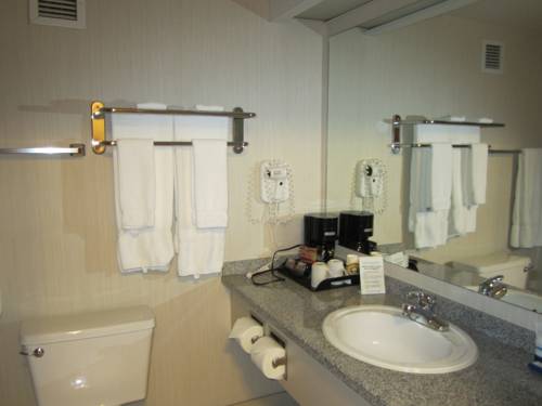 Imagen de la habitación del Hotel Woodlands Inn & Suites. Foto 16