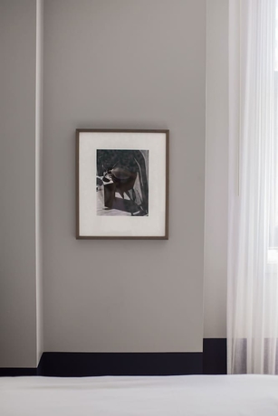 Imagen de la habitación del Hotel Woodlark. Foto 12