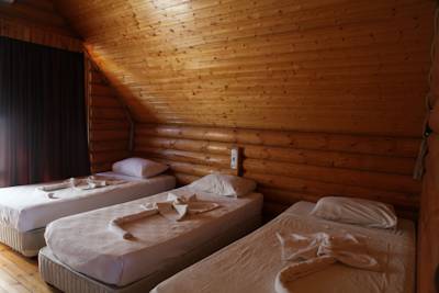 Imagen de la habitación del Hotel Woodline. Foto 6