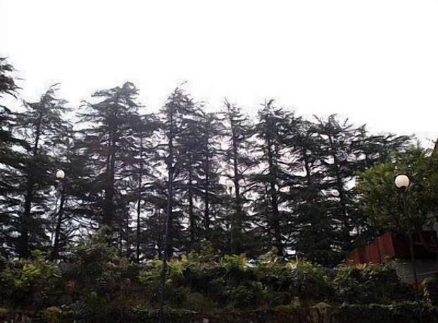 Imagen de los exteriores del Hotel Woodpark. Foto 13