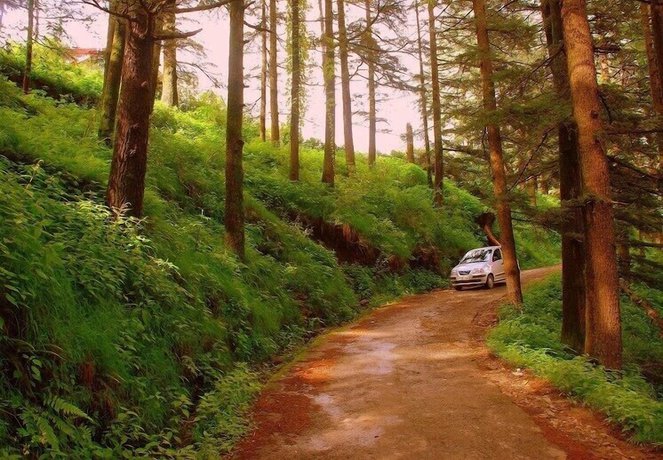 Imagen de los exteriores del Hotel Woodpark. Foto 14