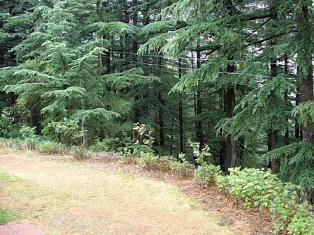 Imagen de los exteriores del Hotel Woodpark. Foto 15