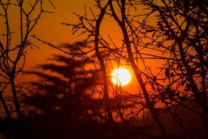 Imagen de los exteriores del Hotel Woodrina. Foto 12