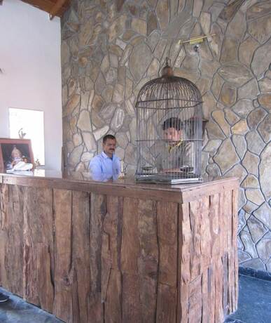 Imagen general del Hotel Woodsvilla Residency. Foto 2