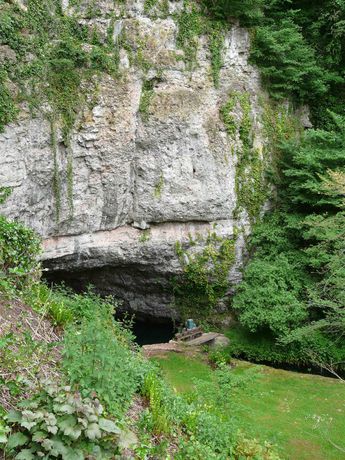Imagen de la habitación del Hotel Wookey Hole. Foto 5