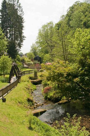 Imagen de la habitación del Hotel Wookey Hole. Foto 12