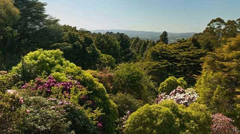 Imagen de la habitación del Hotel Woolrich Historic Garden Cottage. Foto 16