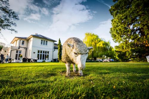 Imagen general del Hotel Wrexham Llyndir Hall , Bw Signature Collection. Foto 3